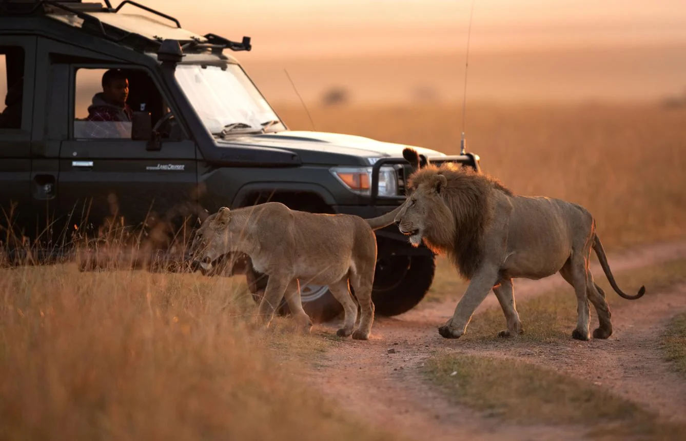 África