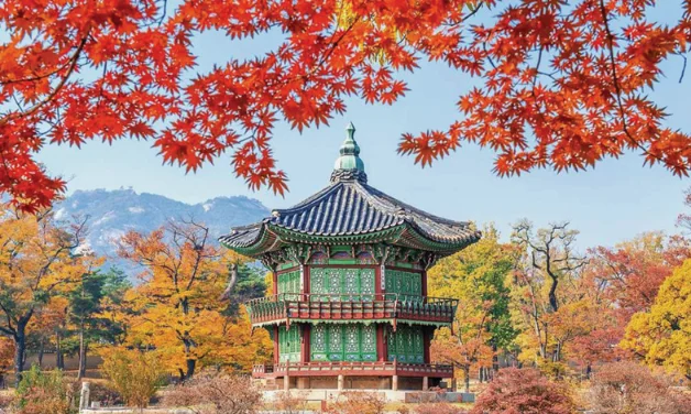Viagem em grupo para Coreia & Japão — Coreia & Japão 