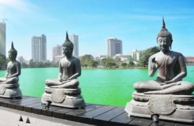 Viagem em grupo para Sri Lanka e Maldivas — Sri Lanka e Maldivas