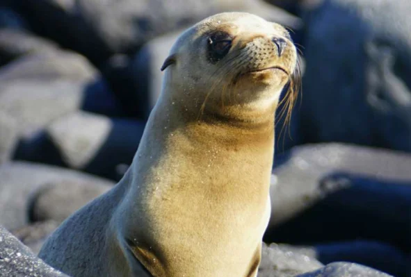 Viagem em grupo para Equador & Galápagos — Equador & Galápagos