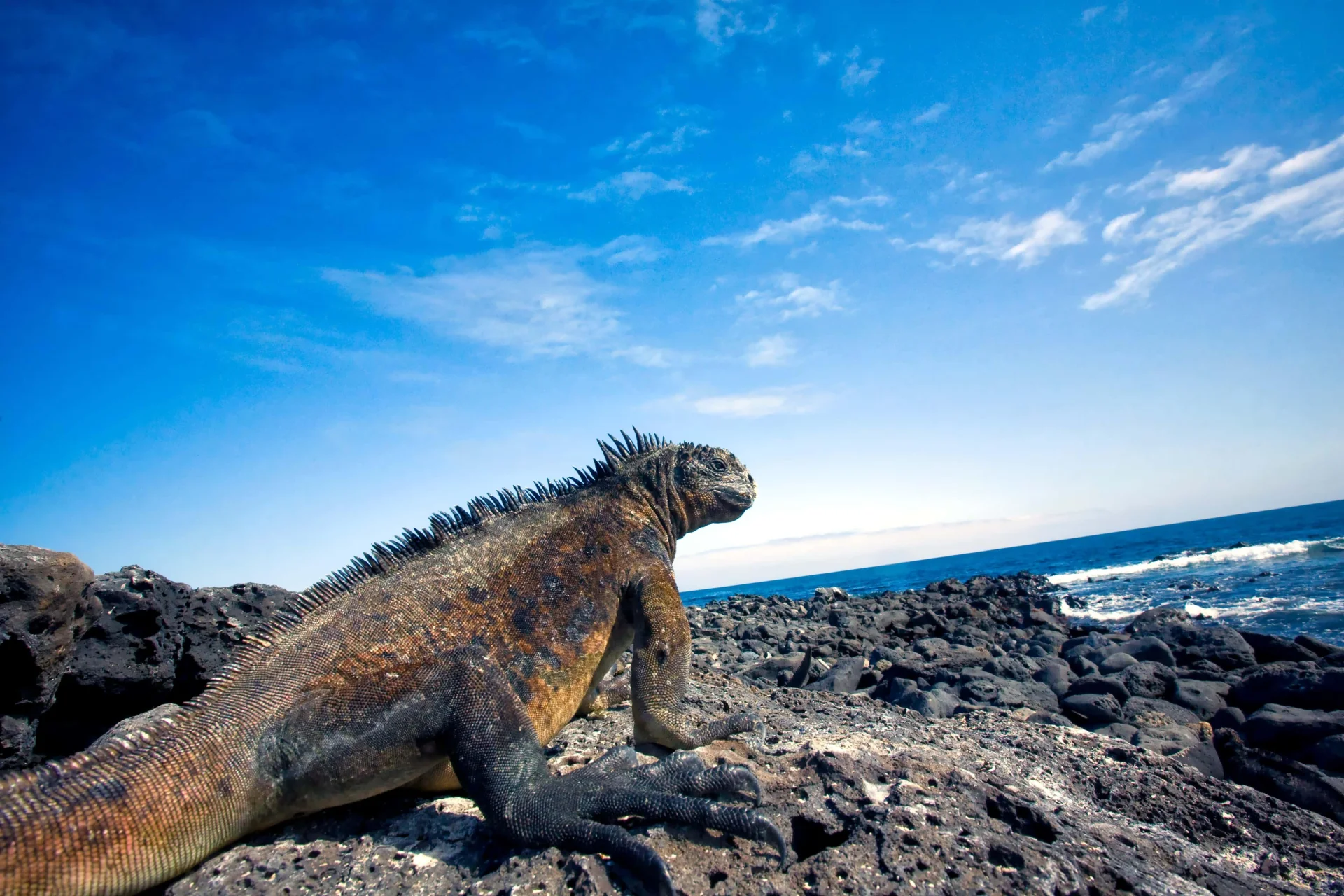 Viagem em grupo para Equador & Galápagos — Réveillon no Equador & Galápagos